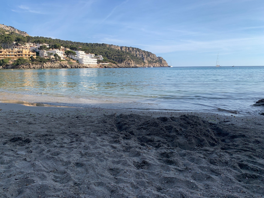 Wandern auf Mallorca Von Sant Elm zur Klosteruine La Trapa 71