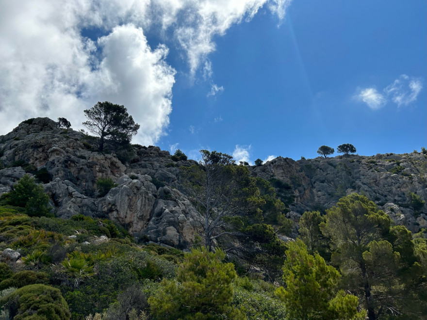Wandern auf Mallorca Von Sant Elm zur Klosteruine La Trapa 8