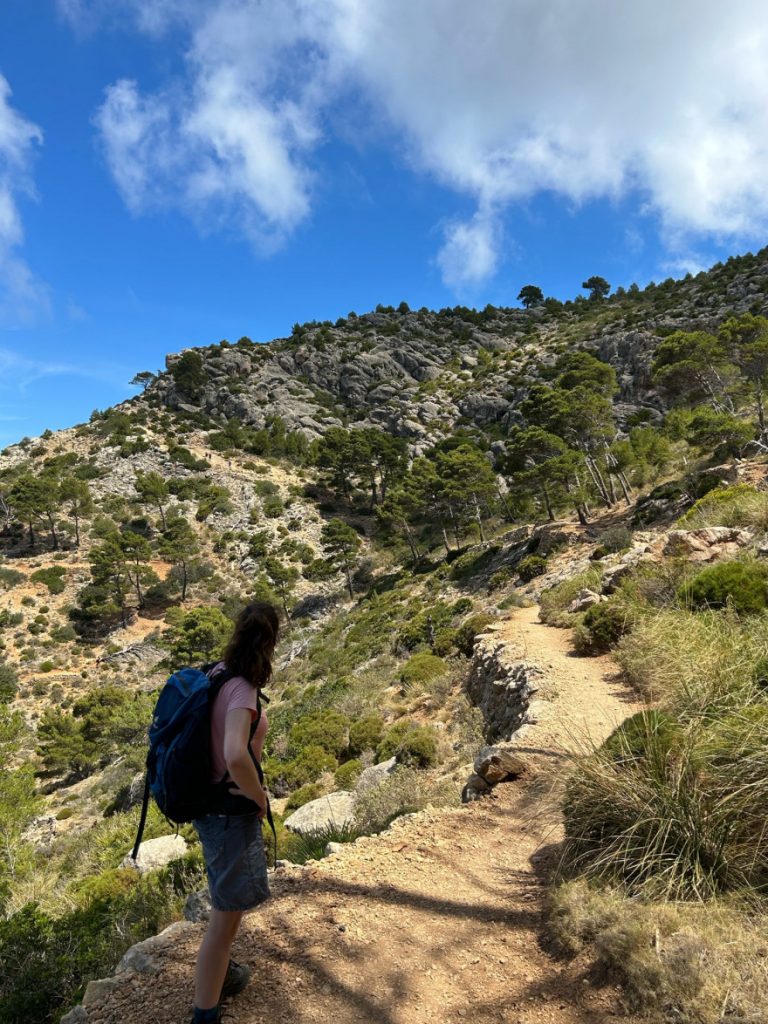 Wandern auf Mallorca Von Sant Elm zur Klosteruine La Trapa 9