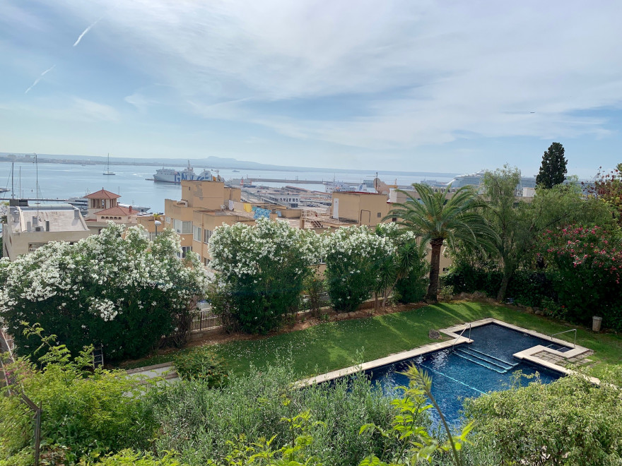 Hotel Amic Horizonte Palma de Mallorca Aussicht auf den Hafen 5