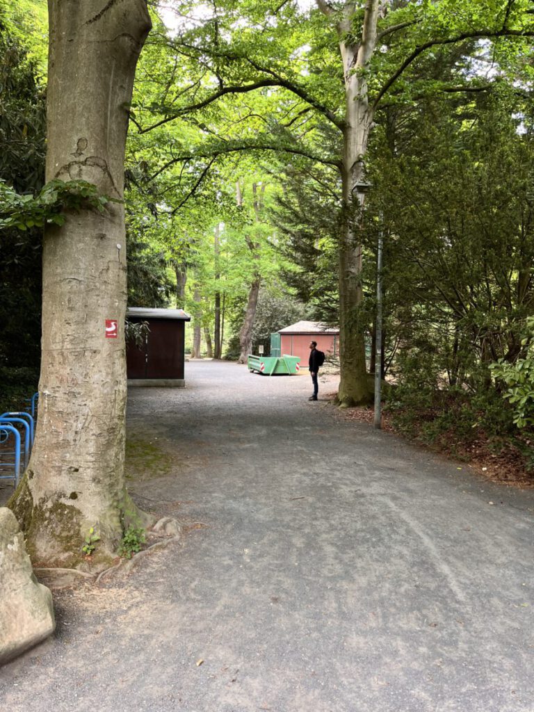 Wandern im Bergischen Land Durch die Wahner Heide bei Troisdorf 1