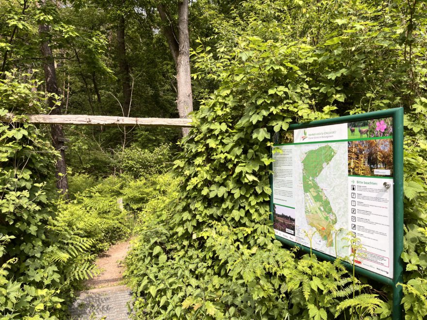 Wandern im Bergischen Land Durch die Wahner Heide bei Troisdorf 11