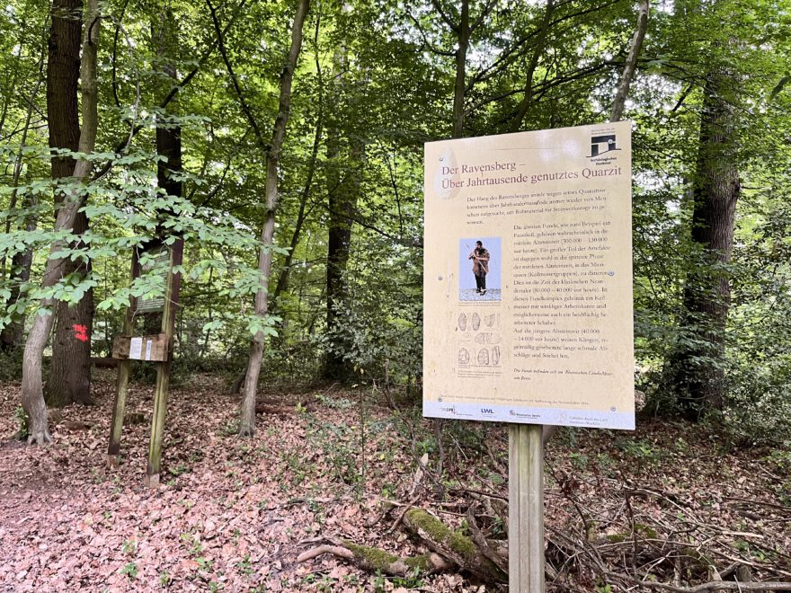 Wandern im Bergischen Land Durch die Wahner Heide bei Troisdorf 14