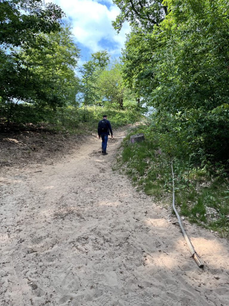 Wandern im Bergischen Land Durch die Wahner Heide bei Troisdorf 16