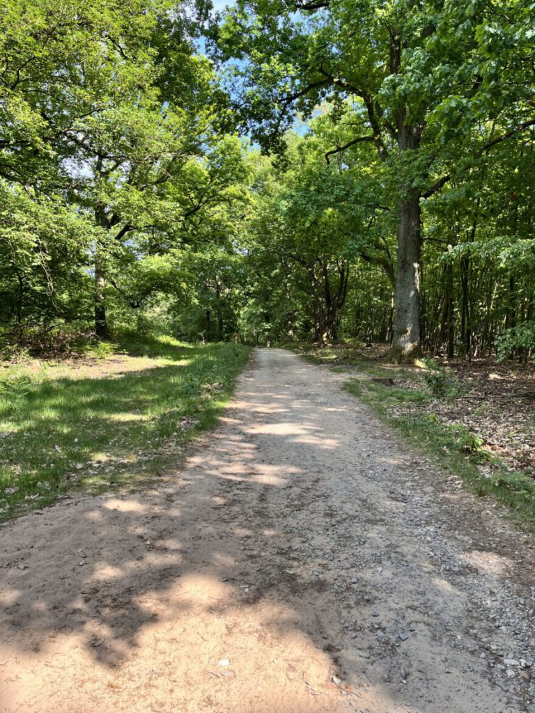 Wandern im Bergischen Land Durch die Wahner Heide bei Troisdorf 17