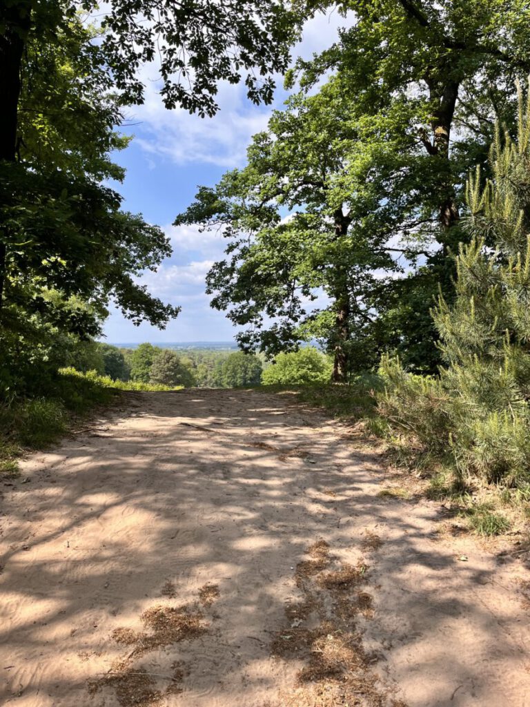 Wandern im Bergischen Land Durch die Wahner Heide bei Troisdorf 19