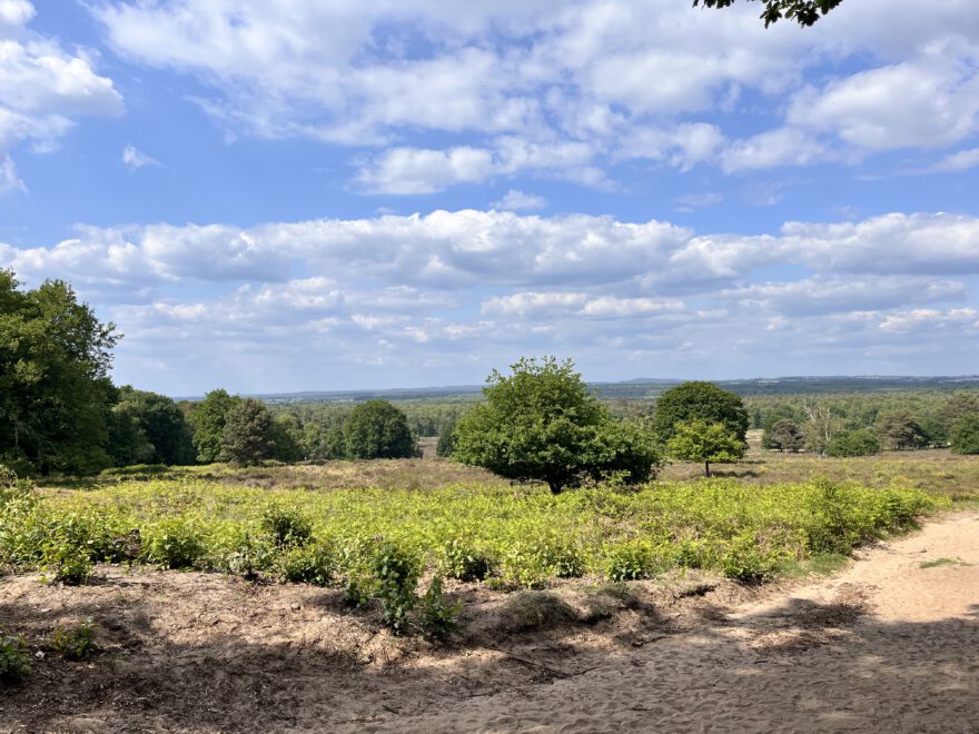 Wandern im Bergischen Land Durch die Wahner Heide bei Troisdorf 20
