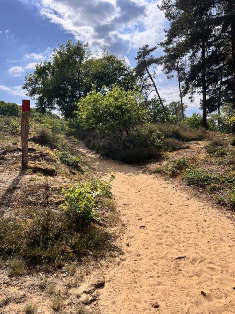 Wandern im Bergischen Land Durch die Wahner Heide bei Troisdorf 21
