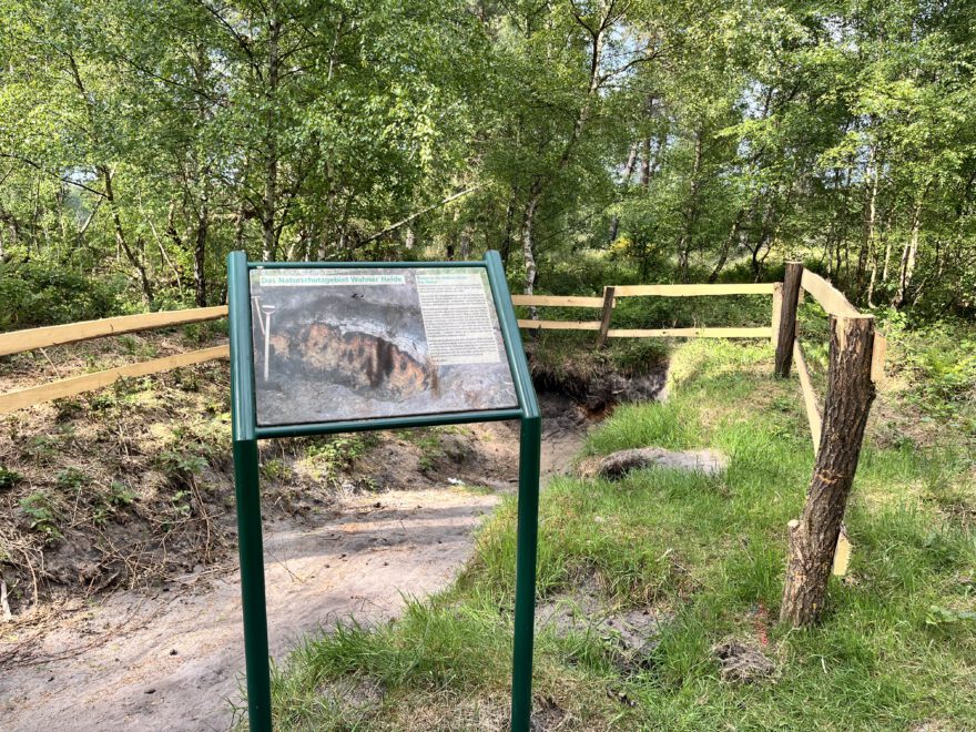 Wandern im Bergischen Land Durch die Wahner Heide bei Troisdorf 22