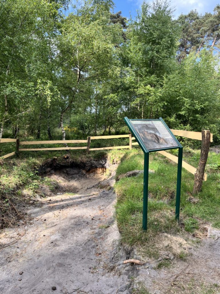 Wandern im Bergischen Land Durch die Wahner Heide bei Troisdorf 23