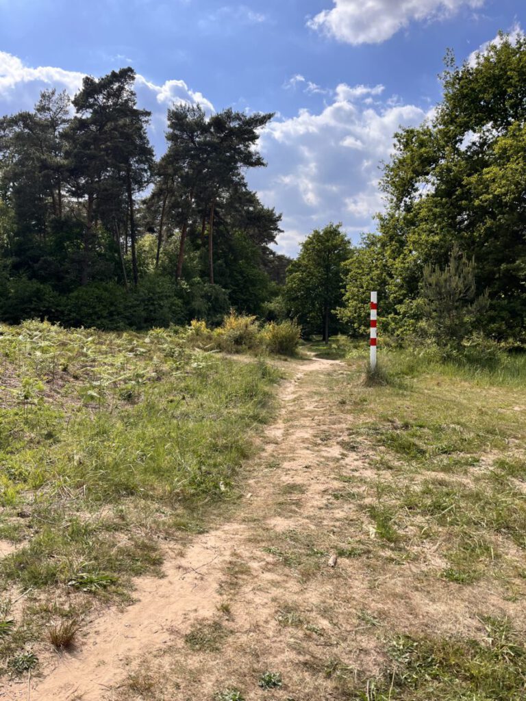 Wandern im Bergischen Land Durch die Wahner Heide bei Troisdorf 25