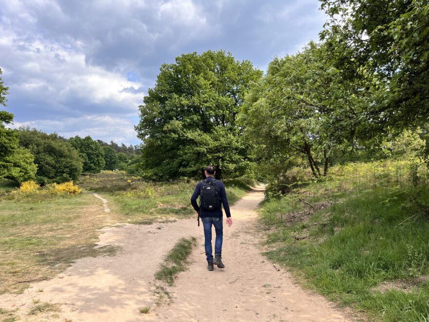 Wandern im Bergischen Land Durch die Wahner Heide bei Troisdorf 26
