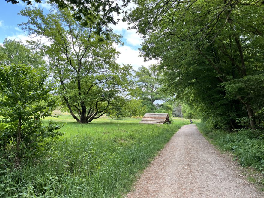 Wandern im Bergischen Land Durch die Wahner Heide bei Troisdorf 28
