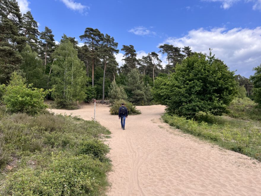 Wandern im Bergischen Land Durch die Wahner Heide bei Troisdorf 29