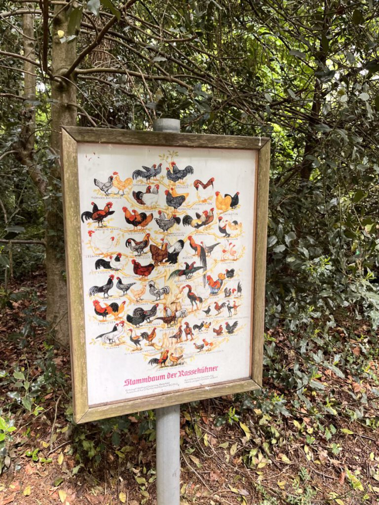 Wandern im Bergischen Land Durch die Wahner Heide bei Troisdorf 3