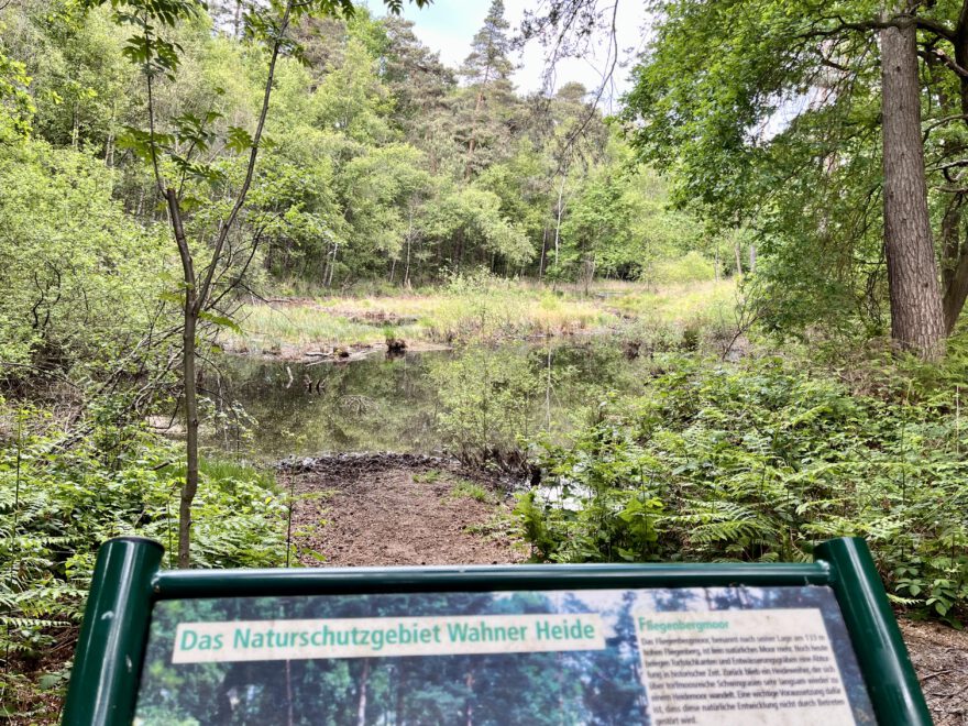 Wandern im Bergischen Land Durch die Wahner Heide bei Troisdorf 32