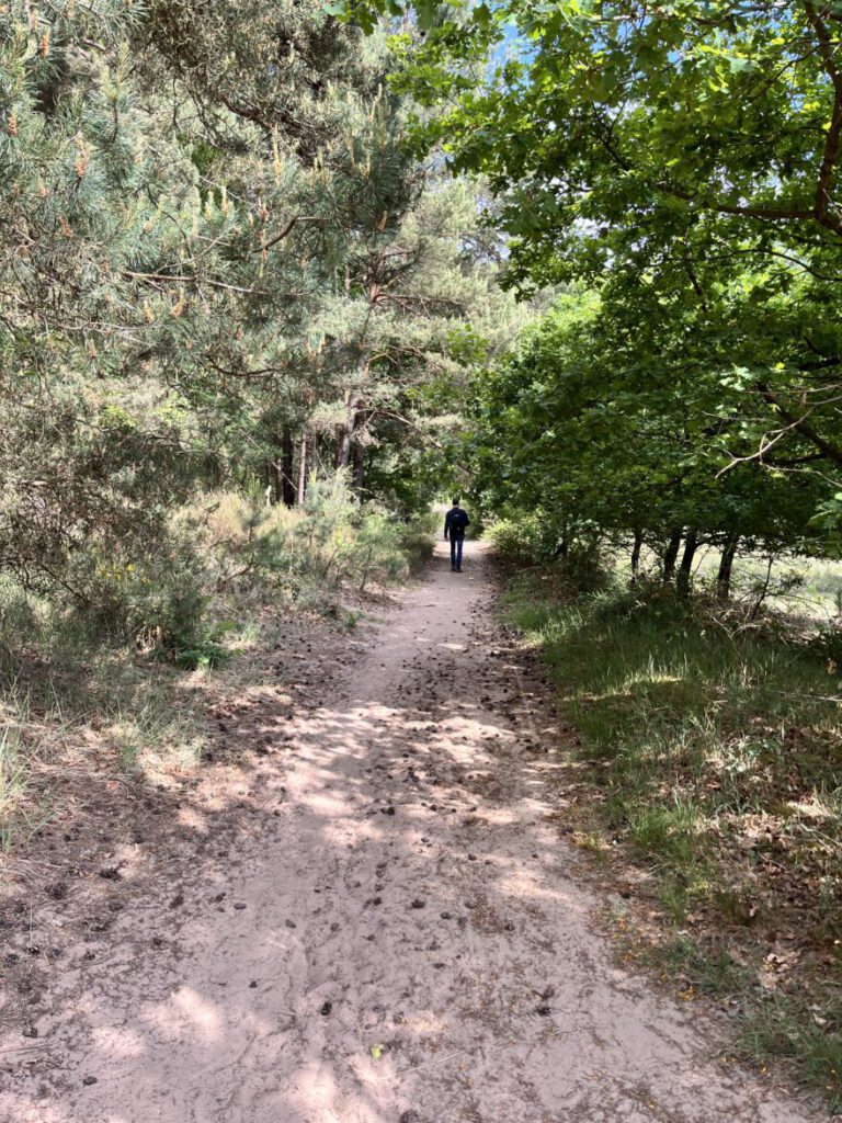 Wandern im Bergischen Land Durch die Wahner Heide bei Troisdorf 35