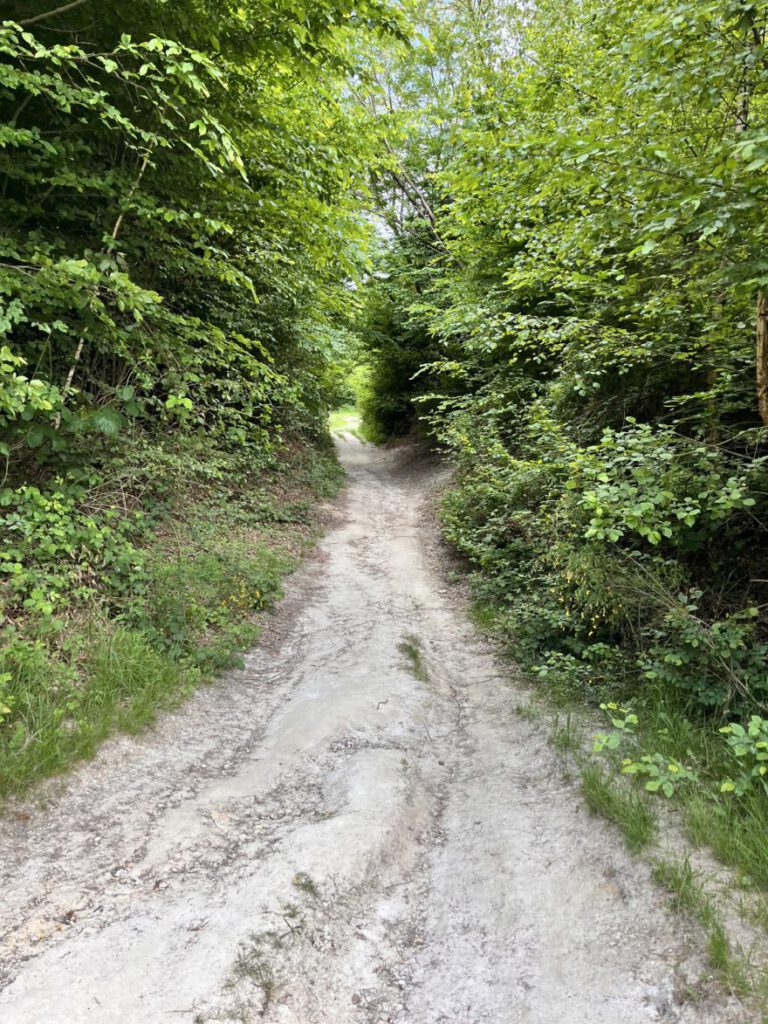 Wandern im Bergischen Land Durch die Wahner Heide bei Troisdorf 36