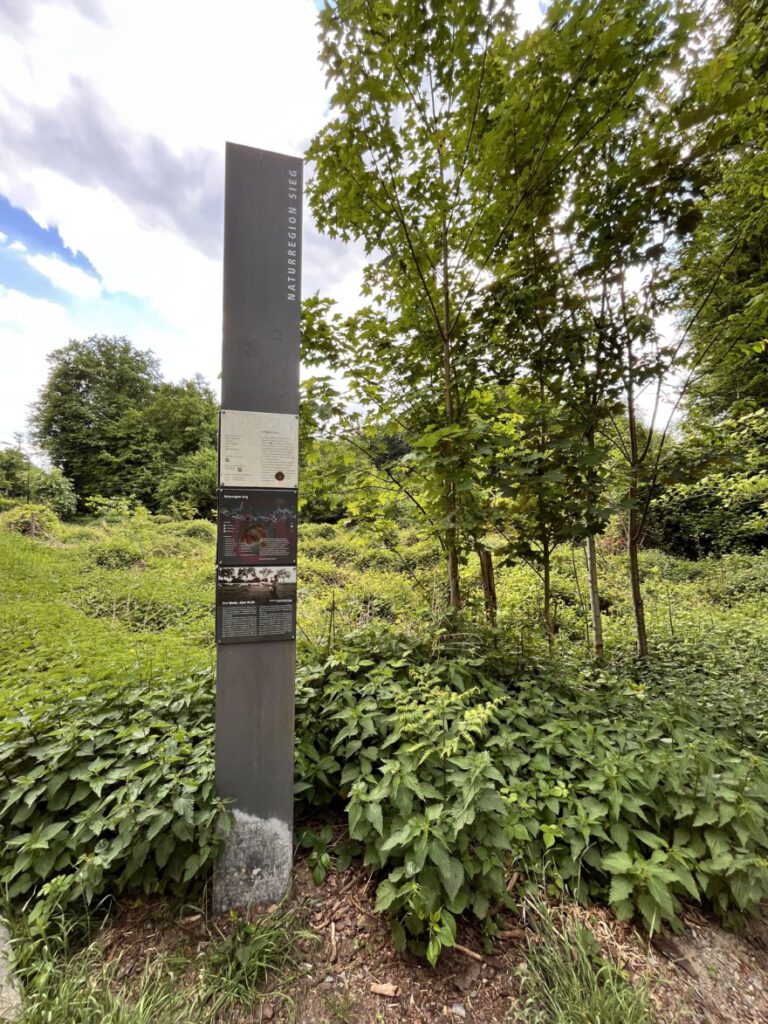 Wandern im Bergischen Land Durch die Wahner Heide bei Troisdorf 37