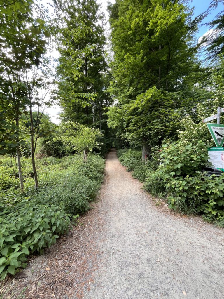 Wandern im Bergischen Land Durch die Wahner Heide bei Troisdorf 38