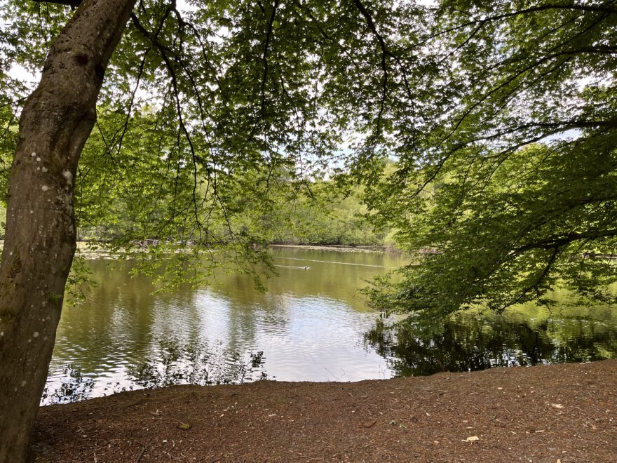 Wandern im Bergischen Land Durch die Wahner Heide bei Troisdorf 39