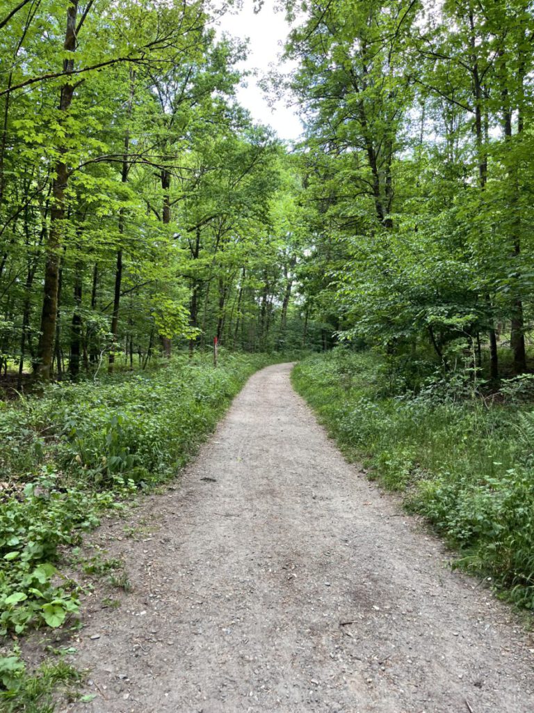 Wandern im Bergischen Land Durch die Wahner Heide bei Troisdorf 40
