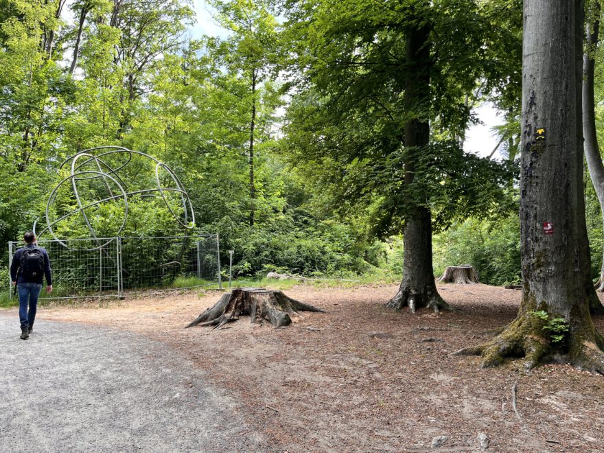 Wandern im Bergischen Land Durch die Wahner Heide bei Troisdorf 43