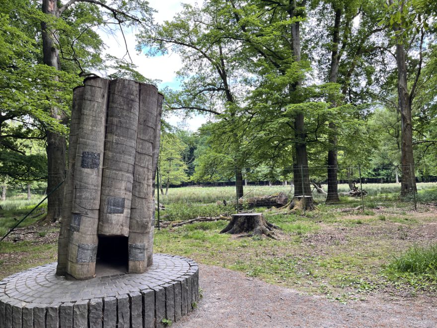 Wandern im Bergischen Land Durch die Wahner Heide bei Troisdorf 44