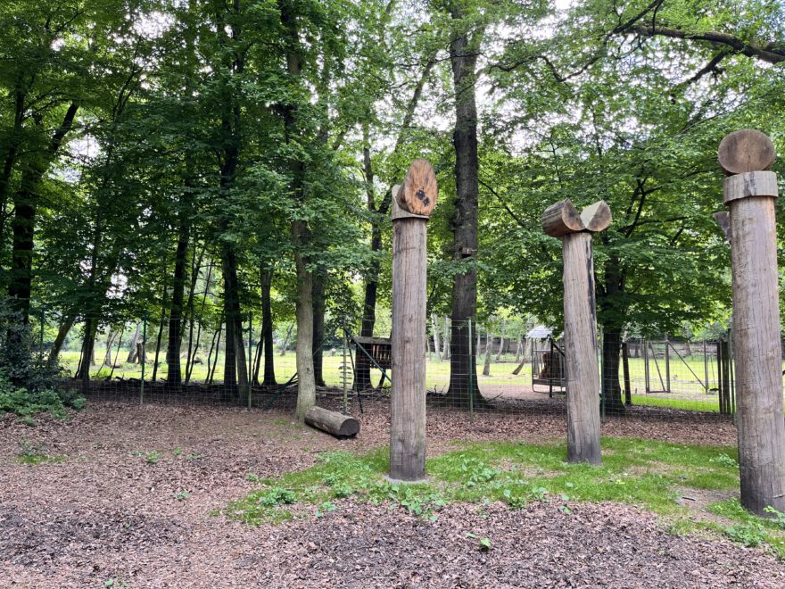 Wandern im Bergischen Land Durch die Wahner Heide bei Troisdorf 45