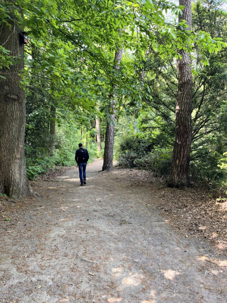 Wandern im Bergischen Land Durch die Wahner Heide bei Troisdorf 6