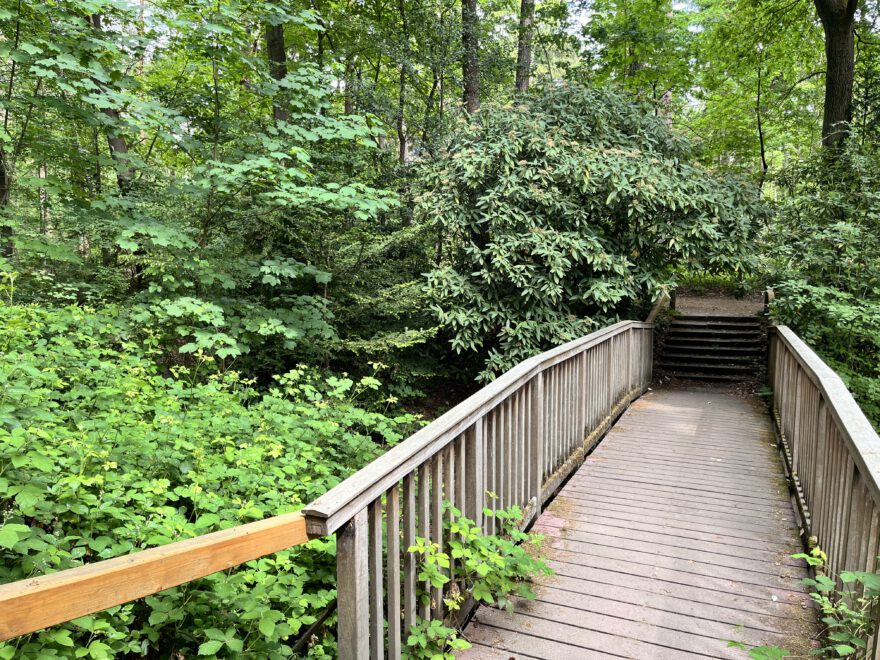 Wandern im Bergischen Land Durch die Wahner Heide bei Troisdorf 8