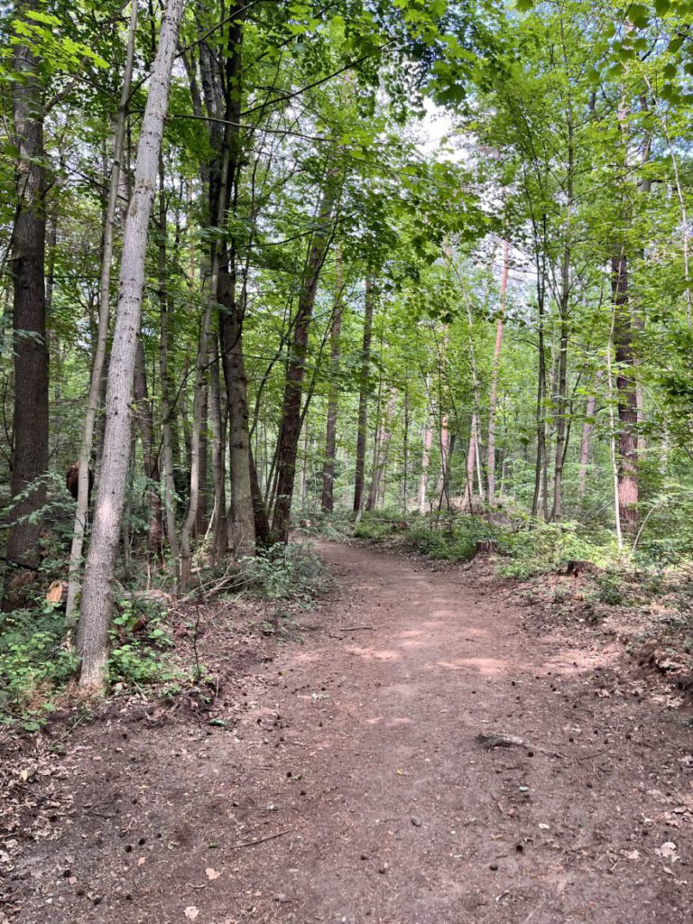 Wandern im Bergischen Land Durch die Wahner Heide bei Troisdorf 9
