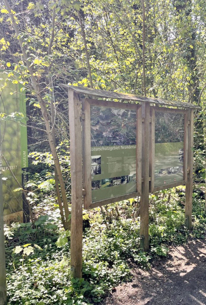 Wandern im Neandertal Entlang der Düssel in den Düsselauen 1