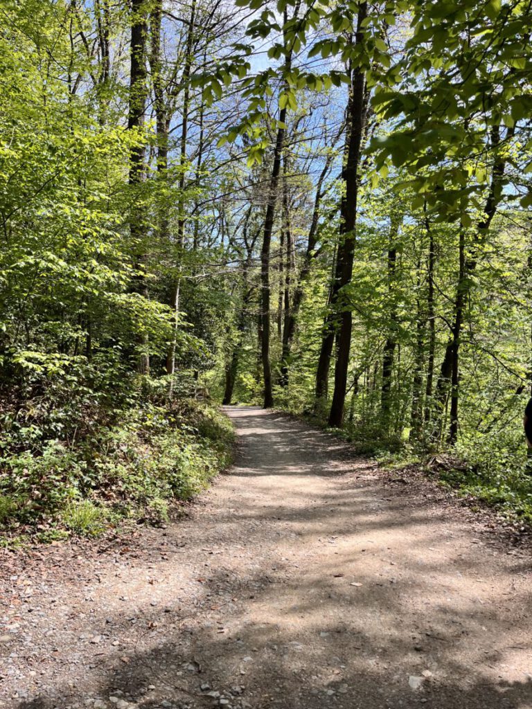 Wandern im Neandertal Entlang der Düssel in den Düsselauen 11