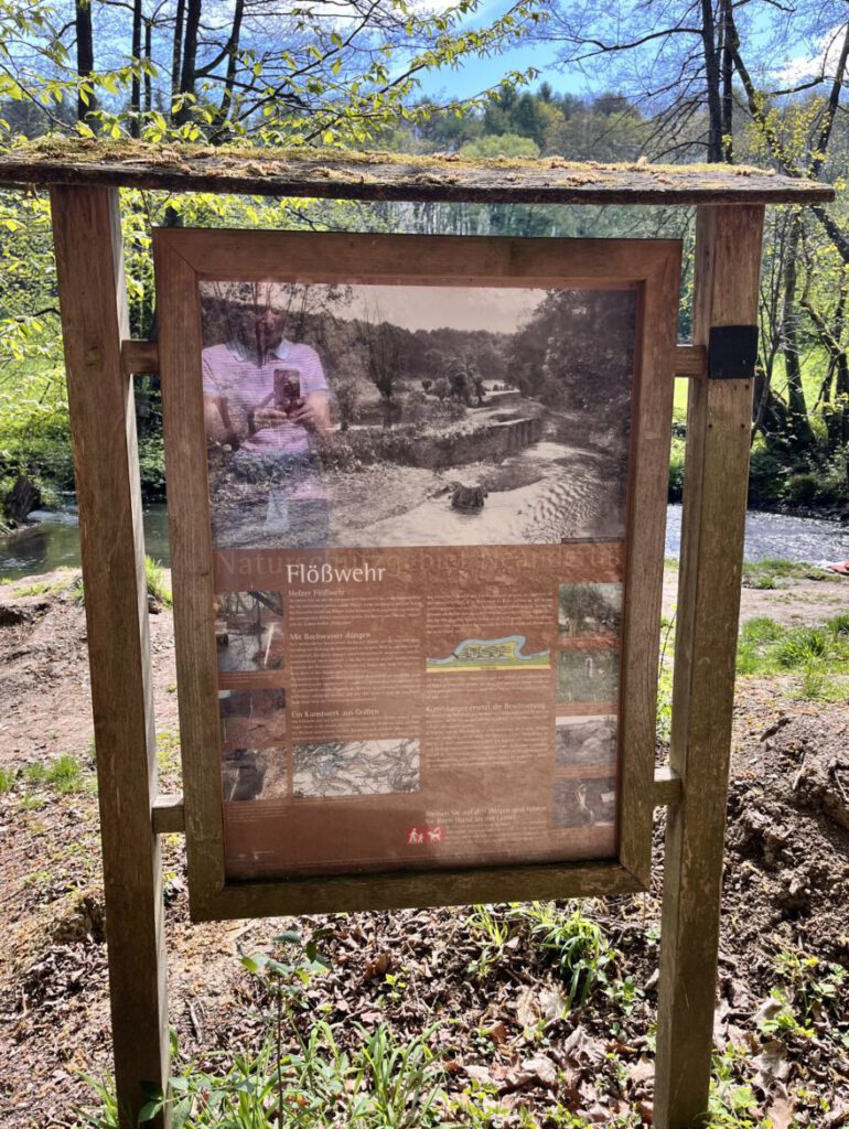 Wandern im Neandertal Entlang der Düssel in den Düsselauen 13