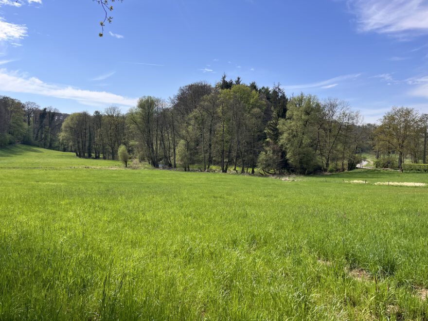 Wandern im Neandertal Entlang der Düssel in den Düsselauen 15