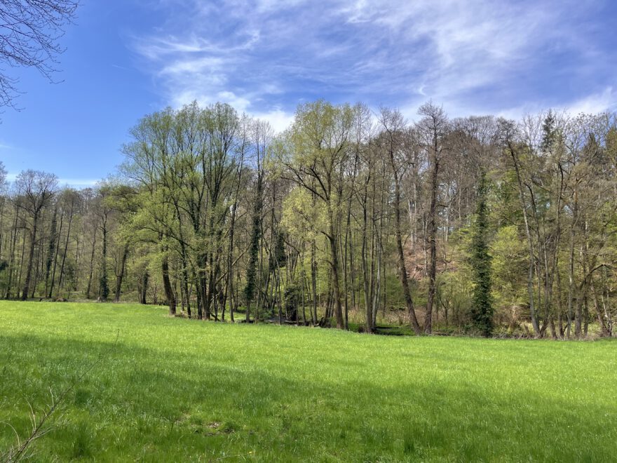Wandern im Neandertal Entlang der Düssel in den Düsselauen 16