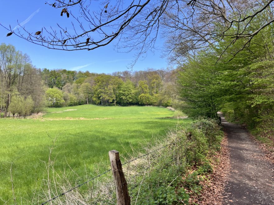 Wandern im Neandertal Entlang der Düssel in den Düsselauen 17