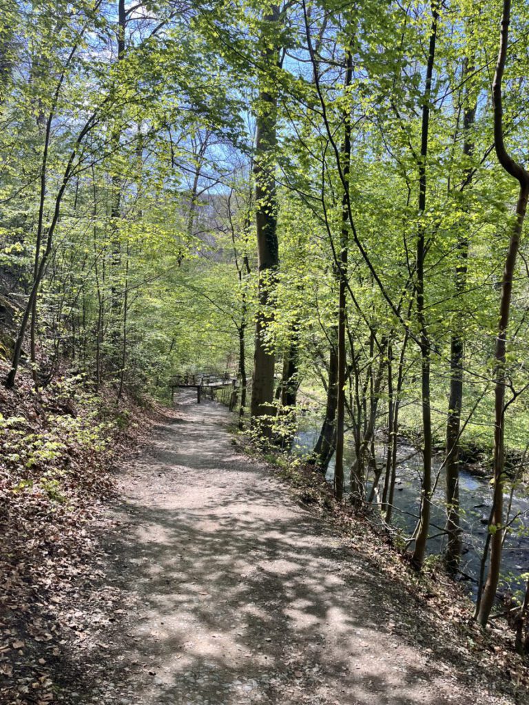 Wandern im Neandertal Entlang der Düssel in den Düsselauen 18