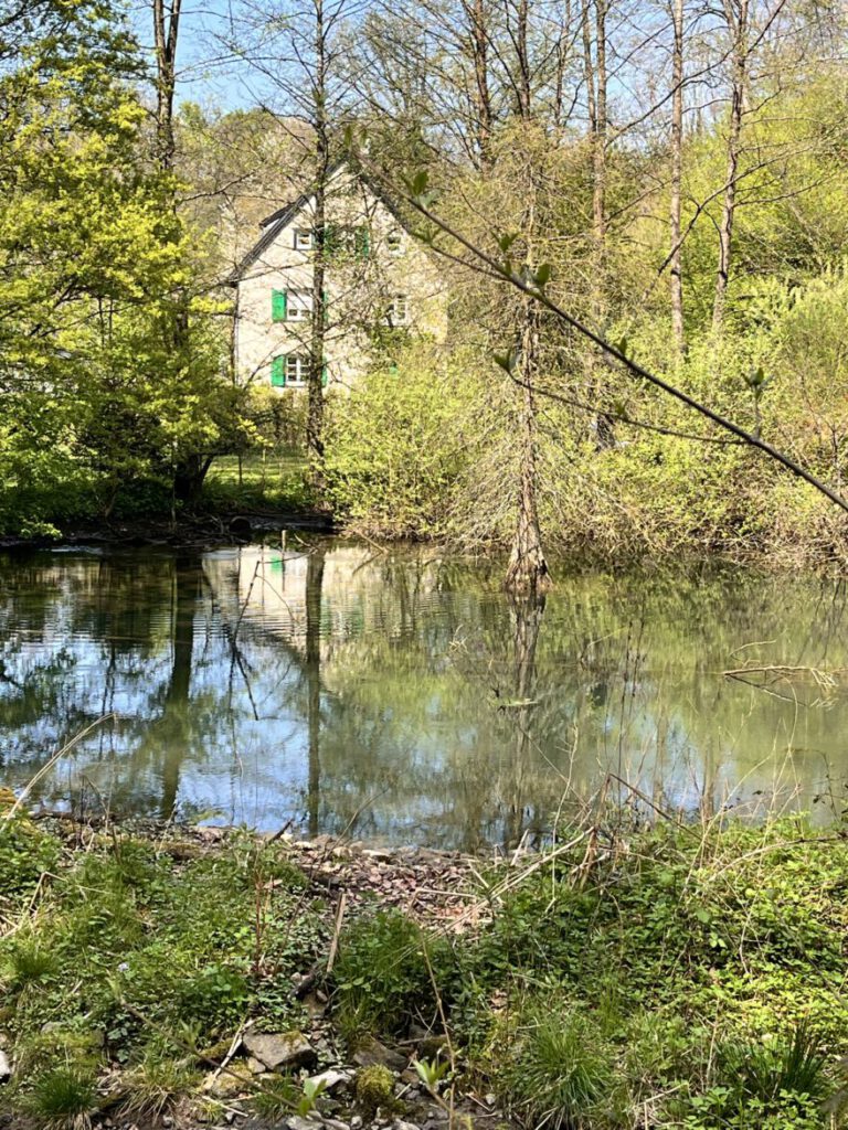 Wandern im Neandertal Entlang der Düssel in den Düsselauen 19