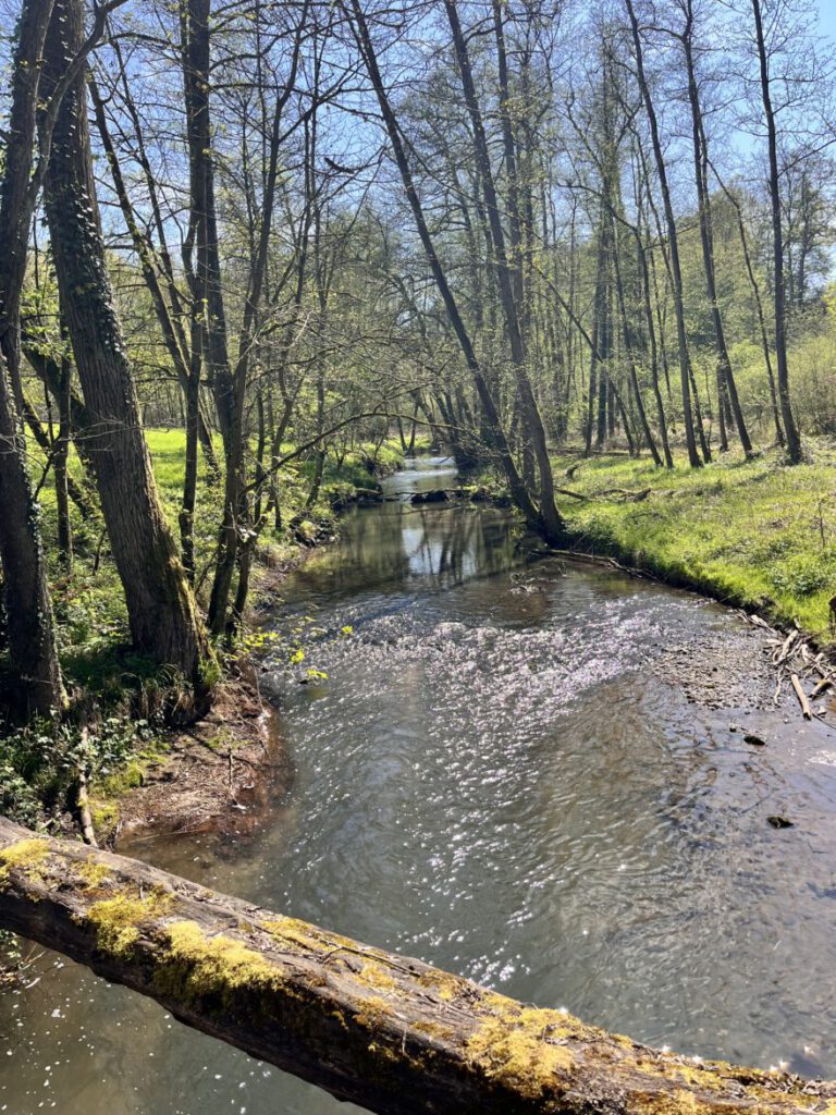 Wandern im Neandertal Entlang der Düssel in den Düsselauen 21