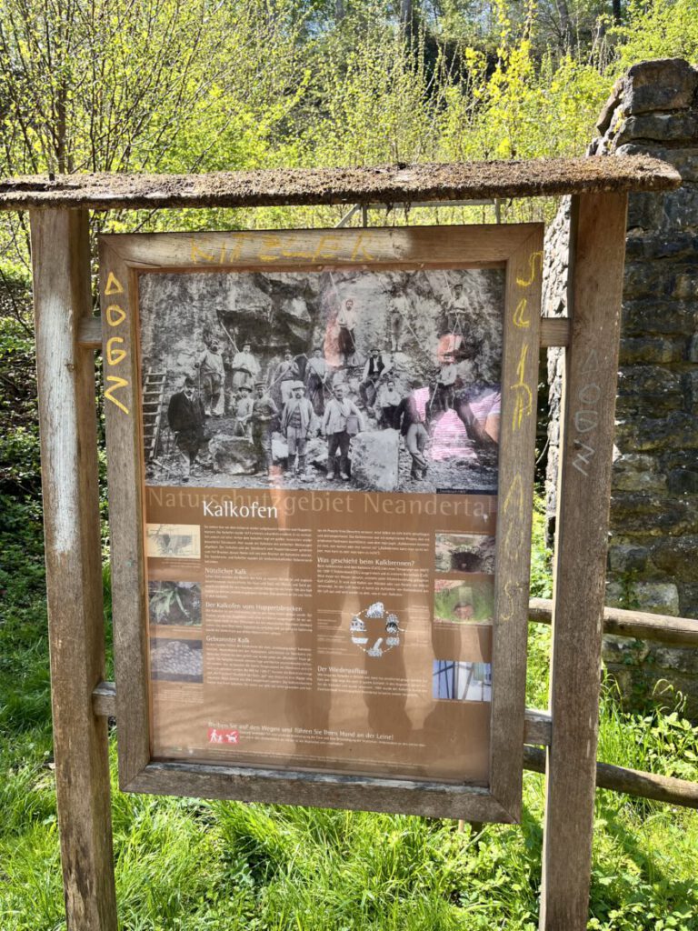 Wandern im Neandertal Entlang der Düssel in den Düsselauen 23