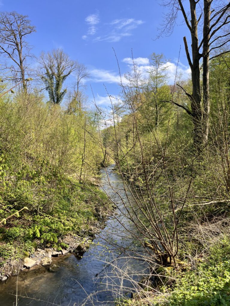 Wandern im Neandertal Entlang der Düssel in den Düsselauen 24