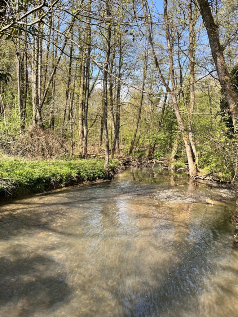 Wandern im Neandertal Entlang der Düssel in den Düsselauen 26