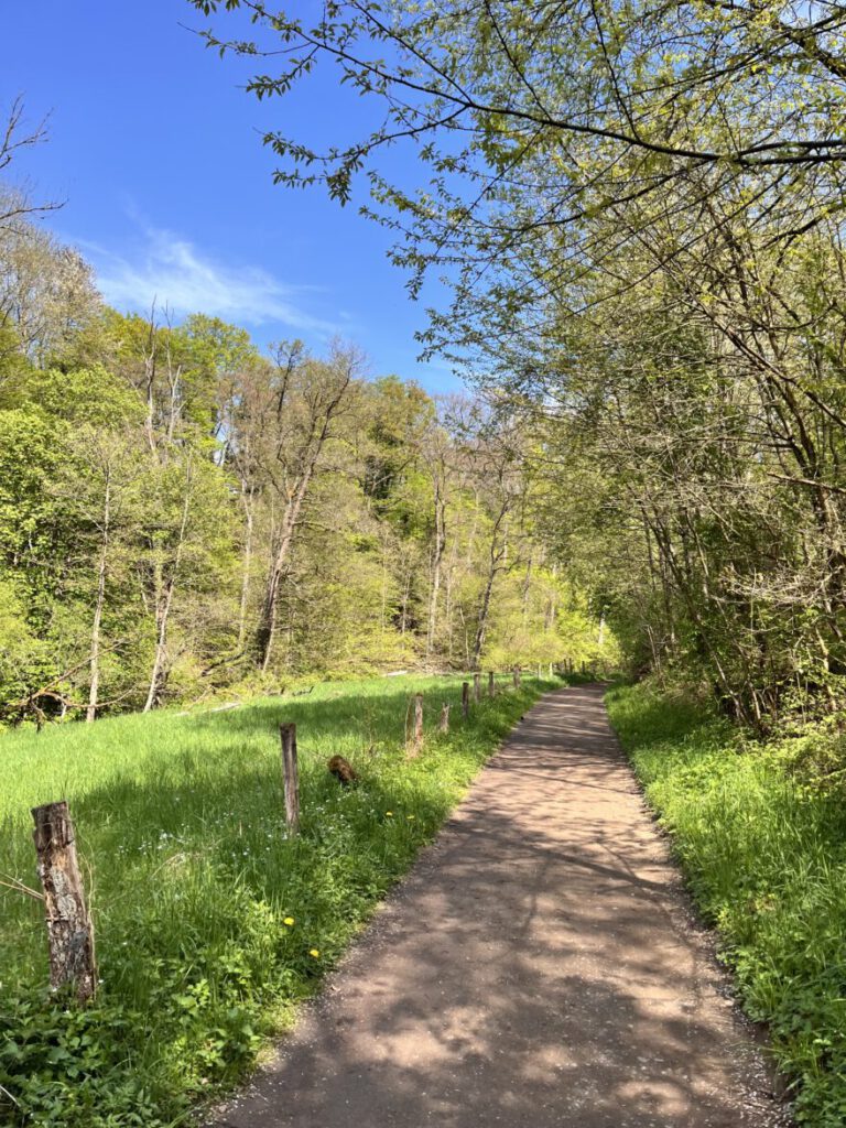 Wandern im Neandertal Entlang der Düssel in den Düsselauen 29