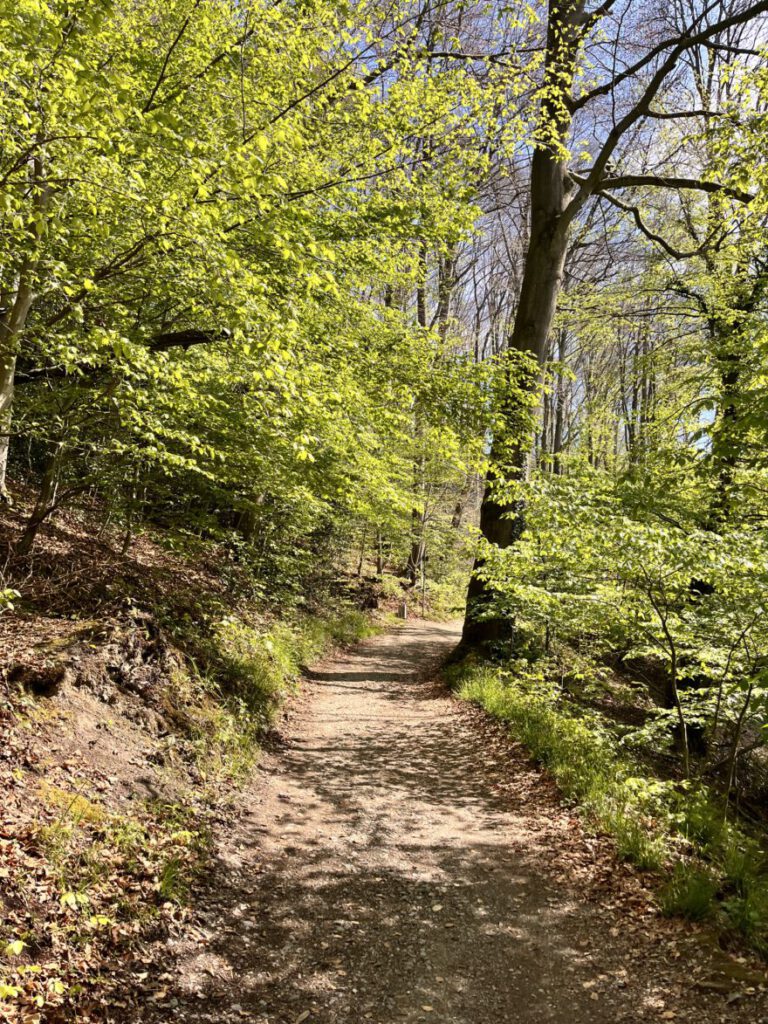 Wandern im Neandertal Entlang der Düssel in den Düsselauen 3