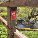 Wandern im Neandertal Entlang der Düssel in den Düsselauen 30
