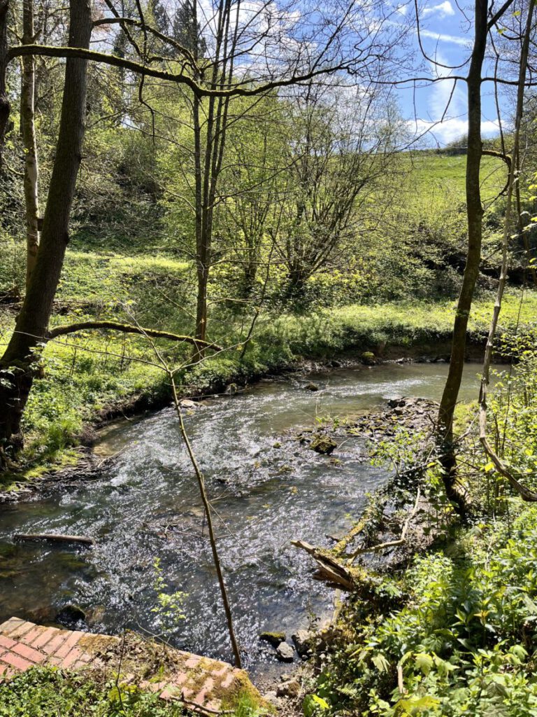 Wandern im Neandertal Entlang der Düssel in den Düsselauen 33