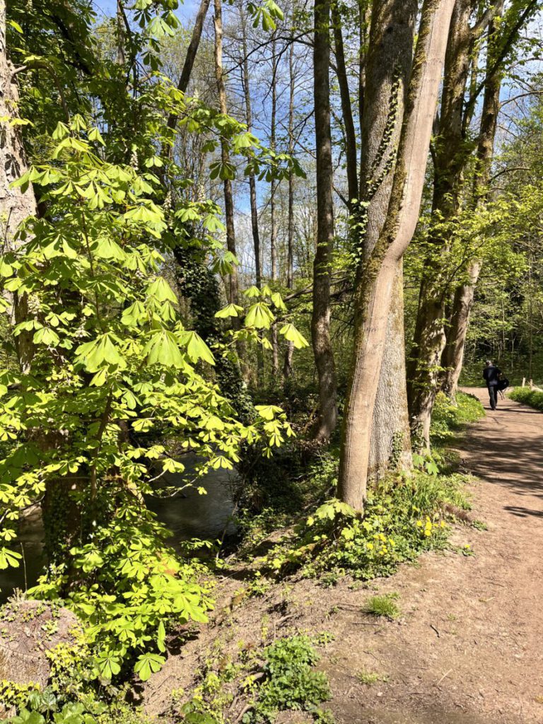 Wandern im Neandertal Entlang der Düssel in den Düsselauen 34