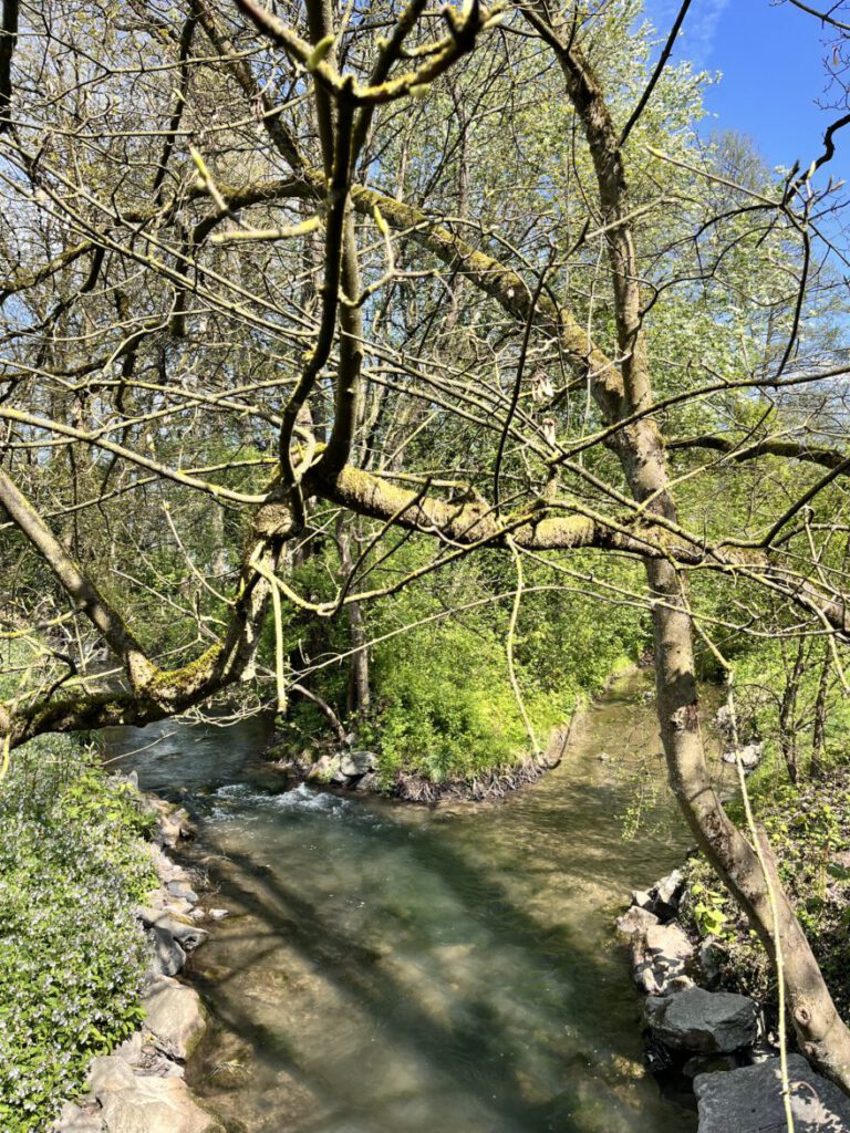 Wandern im Neandertal Entlang der Düssel in den Düsselauen 36